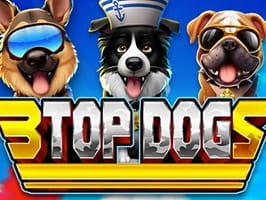 3 Top Dogs screenshot